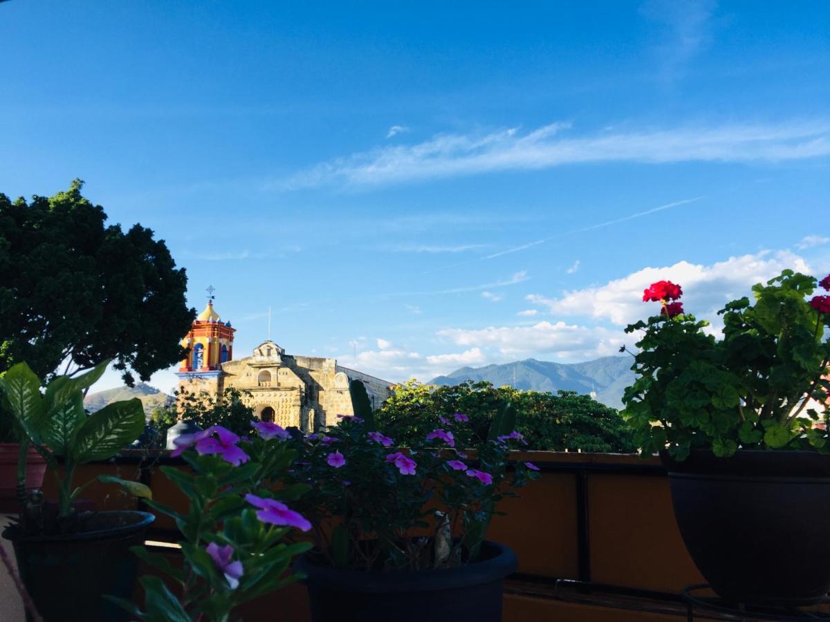 Hotel Cazomalli Oaxaca Екстер'єр фото