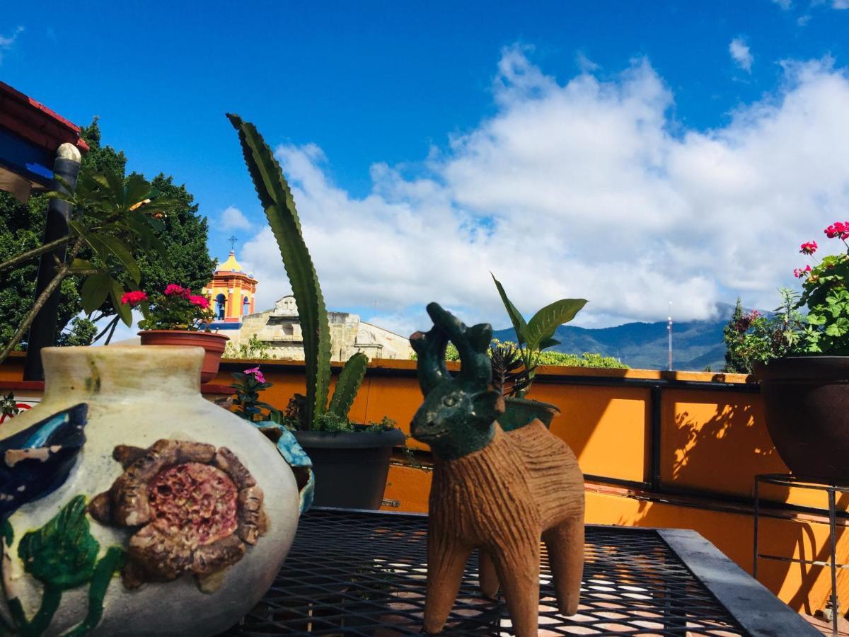 Hotel Cazomalli Oaxaca Екстер'єр фото